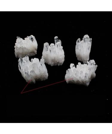 Natural Clear White Quartz Crystal Cluster Geode Gemstones Raw Specimen Home Decor ningxiao 2-3cm - Buy Online on GoSupps.com