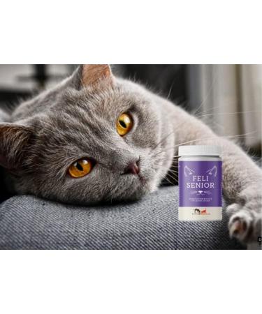 Futtermedicus Feli Senior 150g - Supplementary Feed for Older Cats | Vitamins & Minerals | Tasty Fish Powder - Buy Online on GoSupps.com