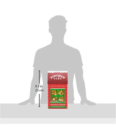 Santa's Festive Spiced Caramel Shed 80g Gift Box - Gluten Free Vegetarian Movie Night Snack - Christmas Pudding - Pack of 1 - Buy Online on GoSupps.com