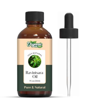 Ravintsara (Cinnamomum camphora) Oil |Pure & Natural Essential Oil for Aroma Skincare & Massage- 30ml/1.01fl oz