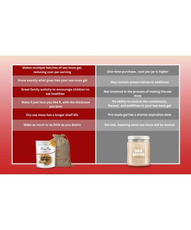Sea Moss Gel Making Kit - DIY Kit with Hand Blender Smoothie Cup - Mums Moss Make Your Own Seamoss Kit Nutrient Packed Wild Crafted St Lucia Sea Moss - Buy Online on GoSupps.com