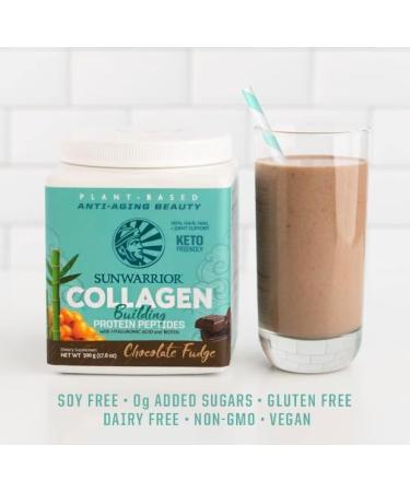 2250 N Coral Canyon Plantbased Warrior Protein Warrior Collagen Chocolate Fudge 500g - Buy Online on GoSupps.com