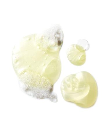 Sea Salt Body Wash by H2O+ | Refreshing Oceanside Scent | Aloe Vera & Vitamin E | Paraben-Free - Buy Online on GoSupps.com