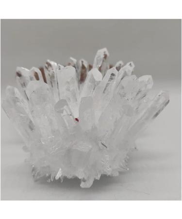 Very Beautiful 1pcs Natural Raw Quartz White Clear Stones Point Home Decoration Raw Crystals Mi (Size : 300-400g) Home Goods (Size : 300-400g) - Buy Online on GoSupps.com