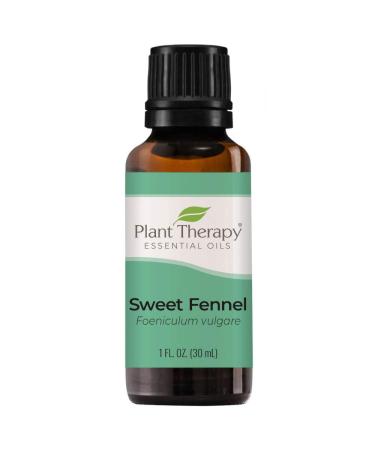 Plant Therapy Sweet Fennel Essential Oil 30 mL (1 oz) 100% Pure Undiluted Therapeutic Grade