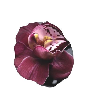 Flower Pebble Printed Waterproof Shower Cap for Women - Fits All Head Sizes and Hair Textures - Buy Online on GoSupps.com