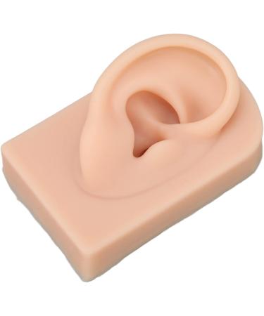Luqeeg Soft Silicone Ear Model | 3D Flexible Nose and Mouth for Suture Practice | Simulation Display Props Set for Acupuncture and Jewelry | Teaching Tool - (2 Pack) - Buy Online on GoSupps.com