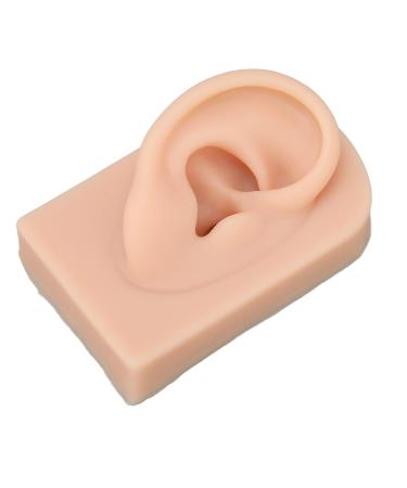 Buy 2 Silicone Ear Models for Piercing & Jewelry Presentation | Realistic Soft Flexible Artificial Ear - Medium Skin Color - Buy Online on GoSupps.com