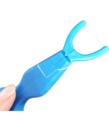 Healifty Dental Floss Stick - Essential Dental Care Set with 2 Floss Picks | Blue | Best for Oral Hygiene - Buy Online on GoSupps.com