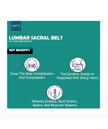Back Brace for Lower Back Pain - Lumbar Support Belt for Sciatica Scoliosis & Herniated Disc - Breathable Adjustable Brace for Men & Women (L) | Shop Internationally - Buy Online on GoSupps.com