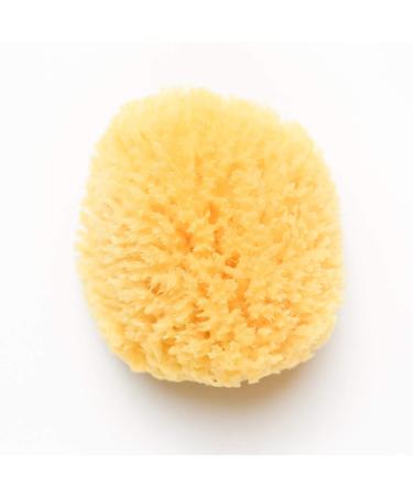 Kyte BABY Natural Sea Sponge  4 to 5 Inches