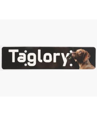 Taglory Soft Padded Neoprene Dog Collar for Medium Dogs - Adjustable Reflective Purple - 1 Pack - Buy Online on GoSupps.com