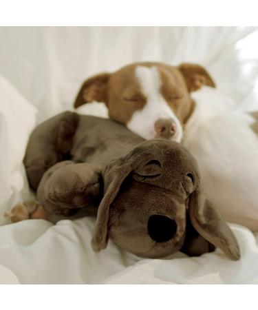 JML Huggie Pup Dog Toys - Heartbeat Toy for Puppy or Adult for Dog Anxiety Relief Calming Dog Teddy Comforter with Warming Pack and Real Life Pulsing Heartbeat - Machine Washable - Golden - Buy Online on GoSupps.com