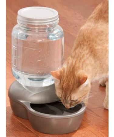 Petmate Mason Inspired Replendish Gravity Waterer 0.5-4 Gallons in Silver - Ideal Water Dispenser for Dogs and Cats - Buy Online on GoSupps.com