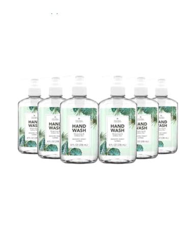 Natural Concepts Hand Wash 6-Pack / 8 oz Pump Bottles