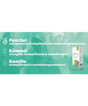 Casa Sana Bauch Gut Oral Drops 30 ml - Natural Digestive Support | International Shipping Available - Buy Online on GoSupps.com