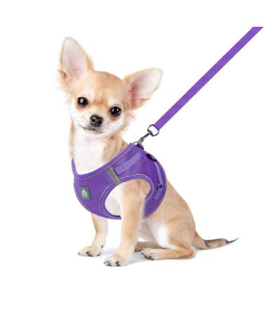 Femax dog harnesses with leash for small medium dog cats soft mesh puppy harness Breakable breast harness adjustable reflective no pull vest chihuahua cat l (chest 41-46cm) purple - Buy Online on GoSupps.com