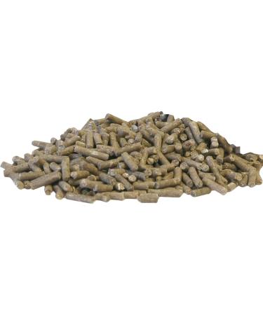 EQUIPUR - strong zinc 1 g - Buy Online on GoSupps.com