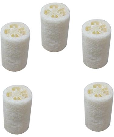 Buy FOMIYES 10 Pcs Natural Loofah Sponge Set for Kitchen & Bath - Eco-Friendly Cleaning & Massage | Best Bath Pouf & Washing Up Sponge - Buy Online on GoSupps.com