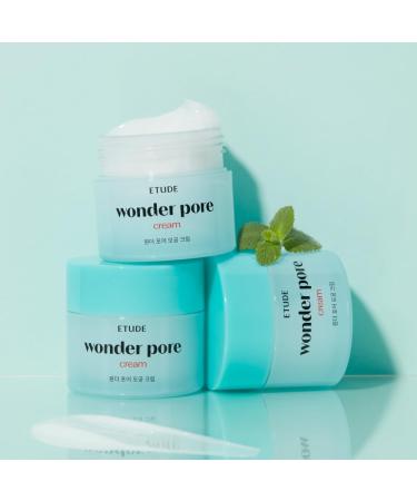 ETUDE Wonder Pore Cream 2.5 fl. Oz | Kbeauty Hypoallergenic Moisturizing Gel for Sensitive Skin | Sebum Control & Fragrance-Free Skin Care Solution - Buy Online on GoSupps.com