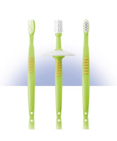 Reer 7903 Learning toothbrush set with safety plate