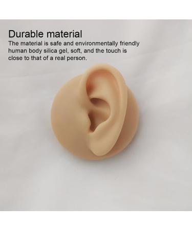 WEHOMY Silicone Left Ear Model for Teaching Instruction - Realistic 3D Display Tool Skin Color - Buy Online on GoSupps.com