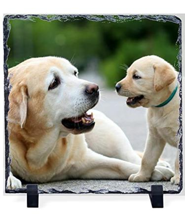 Pajo Personalised Square Gloss Photo Slate 300x300mm. Premium quality with stand included. Customised with the photo of your choice.