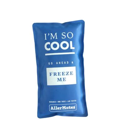 AllerMates Long Lasting Ice Gel Pack for Kid's Children's Large Medicine Cases