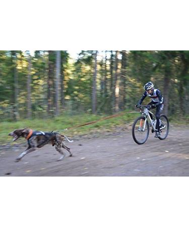 Non-Stop Dogwear Bike Antenna | Ultimate Dog Safety Gear for Biking - Buy Online on GoSupps.com