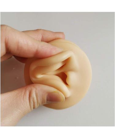 Silicone Ear Model - Simulation Human Ear Model - for Human Body Piercing Acupuncture and Moxibustion Ear Teaching Earrings Earrings Show Left - Buy Online on GoSupps.com
