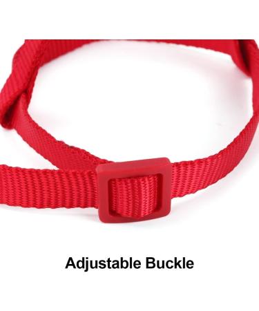 Buy Mioyoow Parrots Flight Harness - Adjustable Training Rope & Portable Bird Dishes for Small & Medium Parrots - Buy Online on GoSupps.com