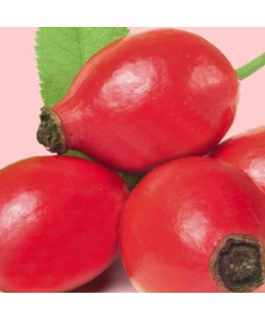 Germaine de Capuccini Multi-Regenerating Pink Mossqueta Oil 30ml - Revitalize & Nourish Your Skin | International Shipping Available - Buy Online on GoSupps.com