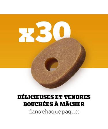 Pedigree Multivitamins Digestion Food Supplements for Dogs - Treats with Probiotics 36x180g Sachet Rewards That Help Maintain Good Digestion Easy to Eat - Buy Online on GoSupps.com