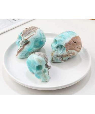 Heteropolar Caribbean Stone Skull Healing Crystal Quratz Hand Carved Human Skull Pocket Statue Figurine Decor Energy Reiki Gemstone Collectible Figurine (Heteropolar Caribbean Stone- Skull) - Buy Online on GoSupps.com