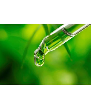 Alphapower Food | Sugar-Free Lemon Lime Flavor Drops | 100% Natural Liquid Aroma & Sweetener | 50ml - Buy Online on GoSupps.com