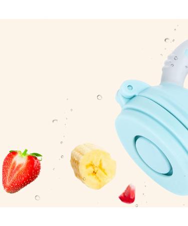 Buy 2-Pack Baby Food Dispenser Pacifiers - Soft Silicone Exercise Coordination Comfortable Handle Dust Protection - Ideal for 4 Months+ - Available in Two Colors - Buy Online on GoSupps.com