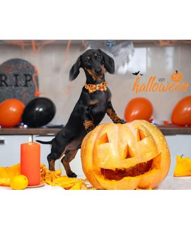 Shop Pumpkin Ghost Aring Pet Dog Collar - Adorable Halloween Collars for Boys & Girls X-Large Metal Buckle - Perfect Gifts! - Buy Online on GoSupps.com