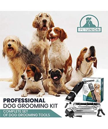 Pet Union Professional Rechargeable Cordless Dog Grooming Kit - Low Noise Clippers for Thick Coats - Complete Grooming Set for Dogs, Cats, and Other Pets - Nail Trimmer Included (Gunmetal) - Buy Online on GoSupps.com