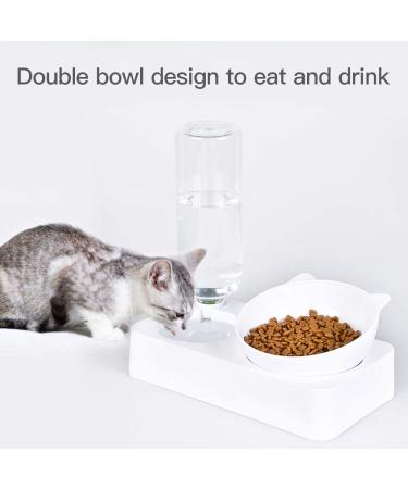 Marchul Tilted Gravity Water and Food Bowls for Cats and Dogs - Set of 2 - Buy Online on GoSupps.com