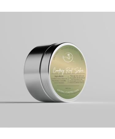 Comfrey & Castor Oil Salve -1oz- Vegan Friendly - Aches Sprains Sore Muscles Joints Minor Pain - Natural Healing Balm 1 Ounce (Pack of 1) 1.0