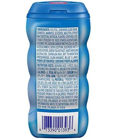 Mentos Gum Pocket Bottle Pure Fresh Mint 1.06 OZ Packs (Pack of 20) - Buy Online on GoSupps.com