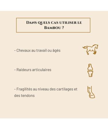 Prince Equin - Bamboo - Horse nutritional supplement - Bag 400g - Joint health - Bone re-ineralization - French brand (400g bag) - Buy Online on GoSupps.com