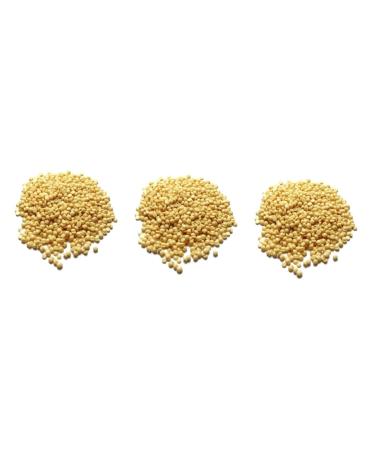 Minkissy 3ST Hard Wax Beans for Hair Removal - Depilatory Pearls for Whole Body | Best Hard Wax Beads - Buy Online on GoSupps.com