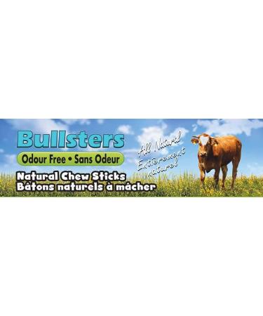 Bullsters Bully Sticks Odour Free Dog Treats for Aggressive Chewers Long Lasting All Natural and Dehydrated Beef Pizzles No Preservatives No Additives Highly Digestible for Small Medium Large XL Dogs (6 pack 6") - Buy Online on GoSupps.com