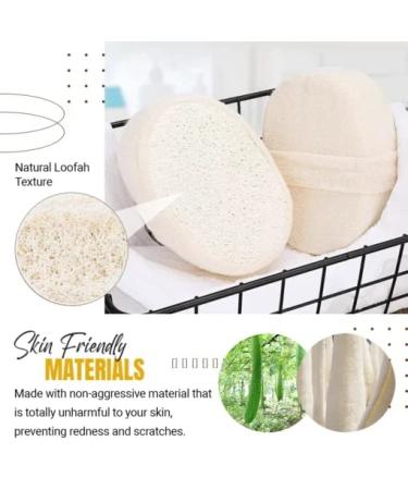 StemSpa Nanocell Exfoliating Sponge - Improve Skin Health & Reduce Cellulite (1PC) - Buy Online on GoSupps.com
