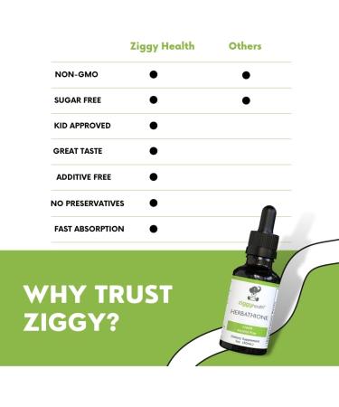 Ziggy Health Herbathione Organic Tincture - Glutathione Supplement for Immune Support Liver Detox & Antioxidant Boost - Gluten Free 1oz - Buy Online on GoSupps.com