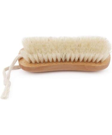 HEALIFTY Natural Beech Bristle Scrub Brush Household Laundry Brush Washing Clothes Brush Shoes Wash Brush - Buy Online on GoSupps.com