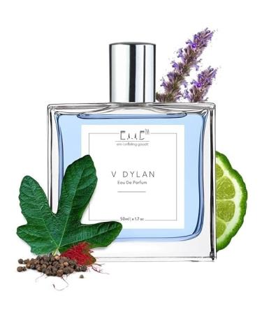 EMS VDylan EDP Perfume for Men | Aromatic Woody Fresh Fragrance | Strong and Long Lasting Spray | Luxury Gift for Him | (50ml / 1.7 Fl Oz)