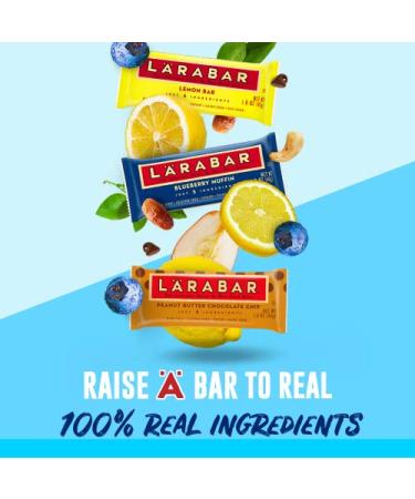 Larabar Chocolate Chip Brownie - Gluten Free Vegan Fruit & Nut Bar (16 ct, 1.6 oz) - Buy Online on GoSupps.com