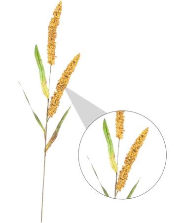 MAGICLULU Simulated Ears of Corn Artificial Wheat Ears Stalks Hand Decor Dry Wheat Grass Fruit Decor Home Decoration Wheat Decoration Wheat Ears Dried Flowers Paddy Iron Ornaments Golden 75.00X12.00X2.00CM - Buy Online on GoSupps.com